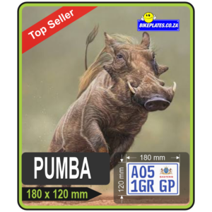 The PUMBA Number Plate