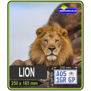 The LION Number Plate