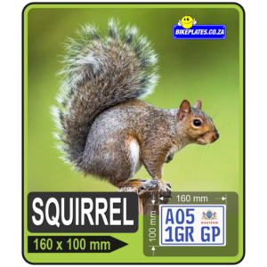 The SQUIRREL Number Plate